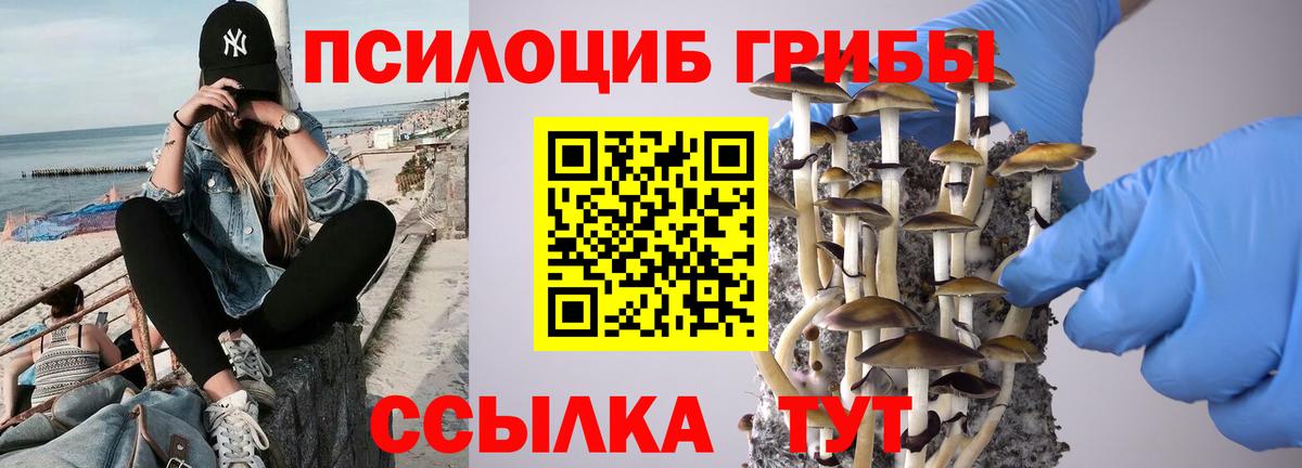 Псилоцибиновые грибы Psilocybine cubensis  Псилоцибиновые грибы MAGIC MUSHROOMS  Строитель  Вход с VPN 